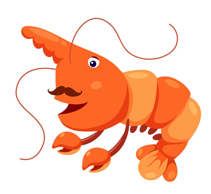 700x642 Cute Shrimp Vector Wall Mural We Live To Change