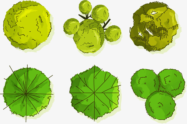 650x430 Overlooking The Tree Vector, Green, Shrub, Tree Top Png And Vector