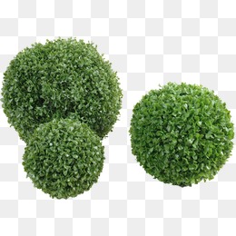 260x260 Shrub Png, Vectors, Psd, And Clipart For Free Download Pngtree