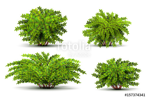 500x334 Shrubbery, 3d Isometric Bushes Isolated On White Vector Set Stock