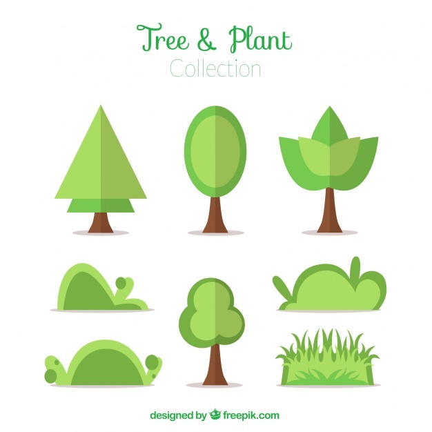 626x626 Shrubs Vectors, Photos And Psd Files Free Download