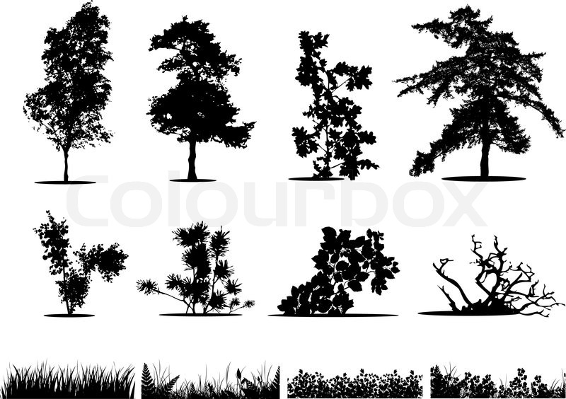 800x564 Trees, Bushes And Grass Silhouettes Stock Vector Colourbox
