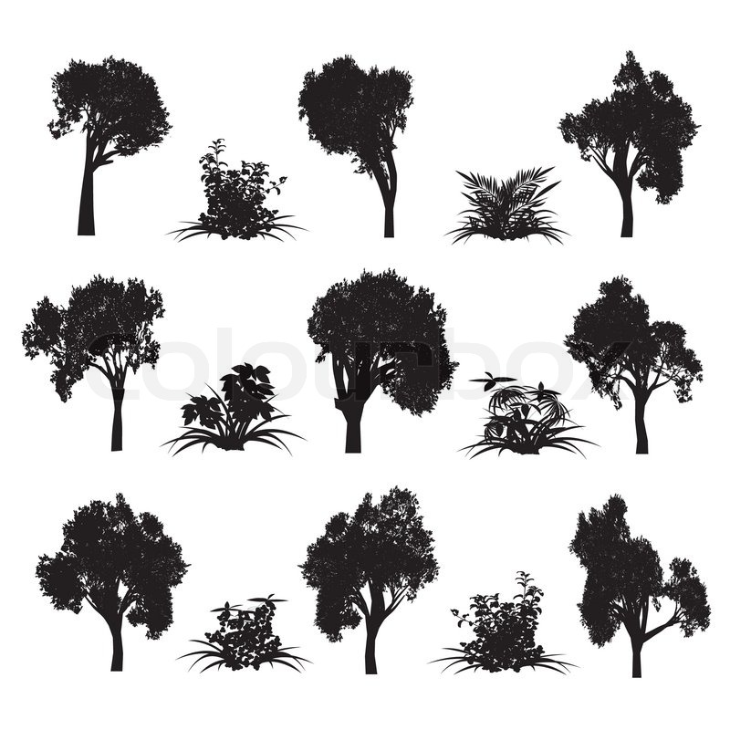 800x800 Trees And Bush