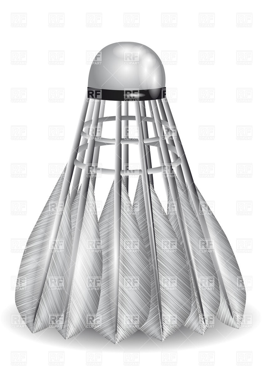 843x1200 White Shuttlecock For Badminton Isolated On White Vector Image