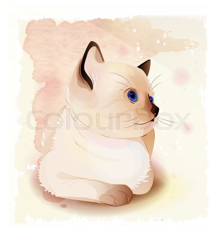 744x800 Portrait Of Thai Kitten . Traditional Siamese Cat. Stock Vector