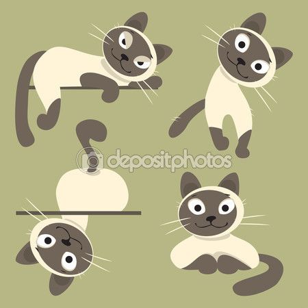 450x450 Set Of Siamese Cats. Vector Illustration Vector Stock