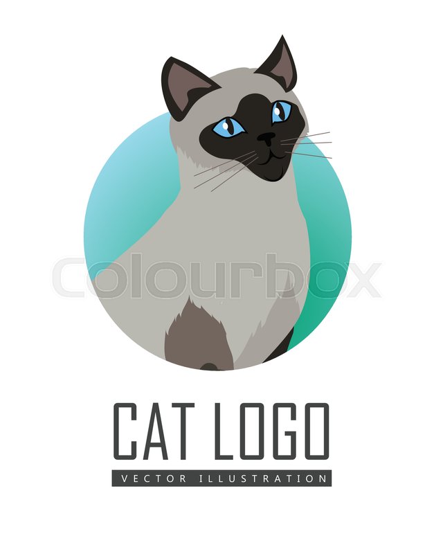 640x800 Siamese Cat Breed. Cute Grey Cat Seating Flat Vector Illustration