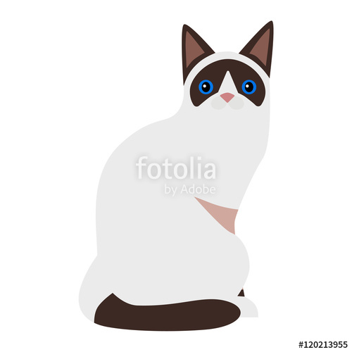 500x500 Siamese Cat Cartoon Style Vector Silhouette. Cute Domestic Cat