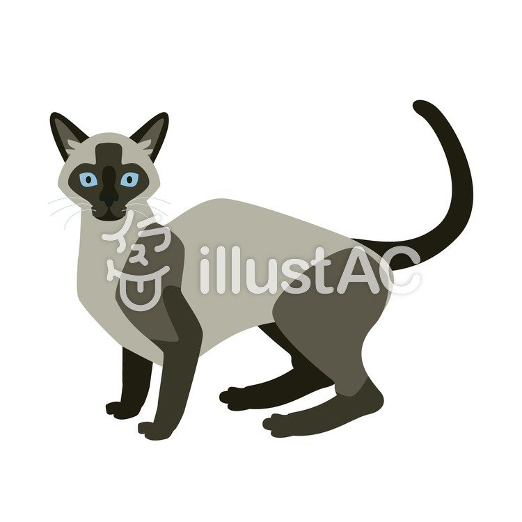 750x750 Siamese Cat Clipart Siam