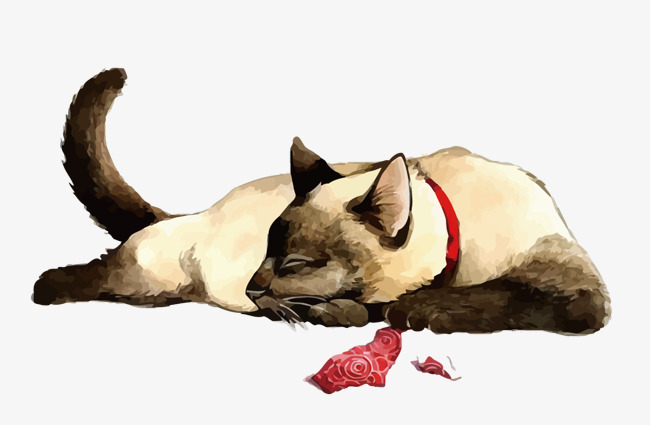 650x425 Vector Siamese Cat, Cat Vector, Hand Painted, Watercolor Png And