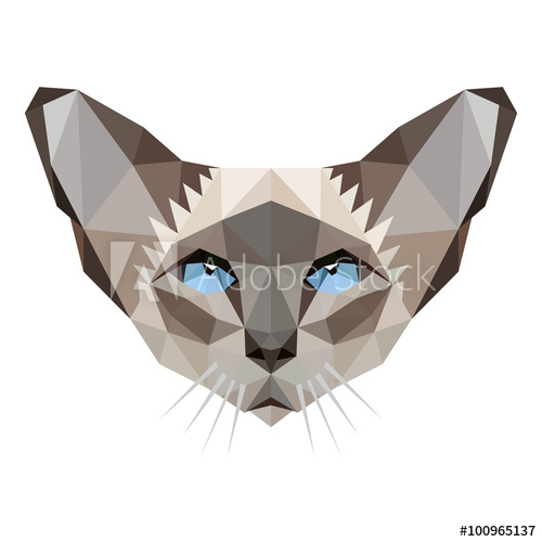 500x500 Vector Low Poly Siamese Cat