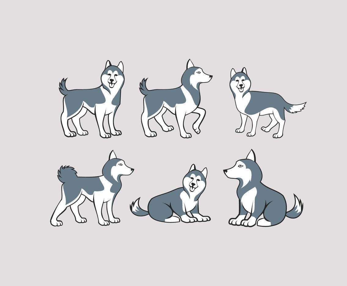 1136x936 Husky Illustration Vector Vector Art Amp Graphics