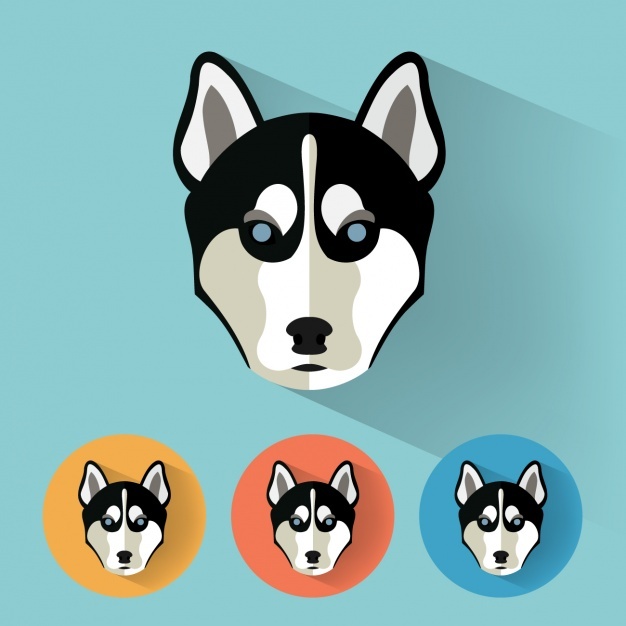 626x626 Husky Vectors, Photos And Psd Files Free Download