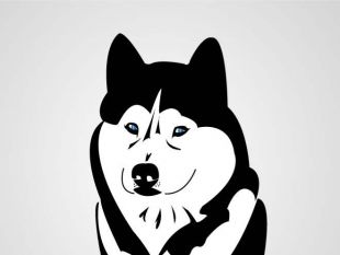 310x233 Siberian Husky Vector Dog Free Vectors Ui Download