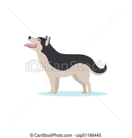 450x470 Siberian Husky Dog Vector Illustration On A White Background.