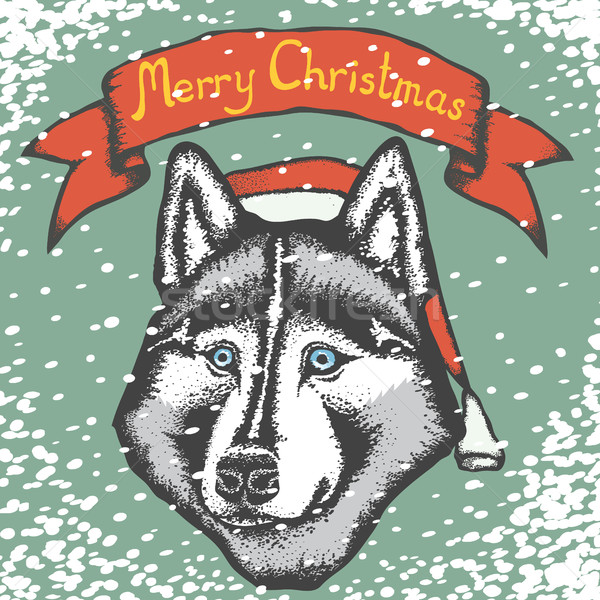 600x600 Vector Siberian Husky Vector Illustration Konstantin Li (Leedsn
