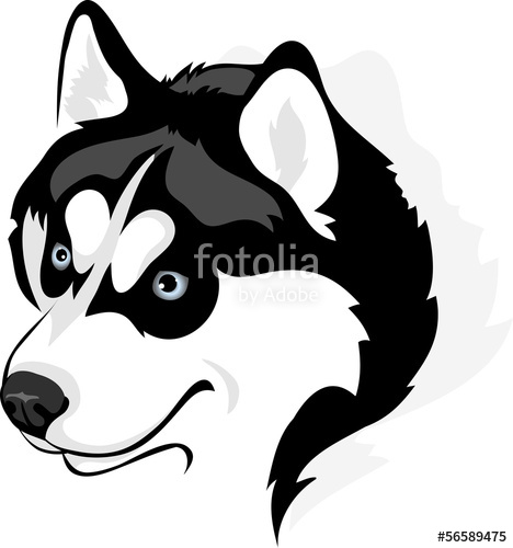 468x500 Vector Image Of Head Of The Siberian Husky Dog Stock Image And