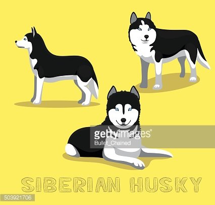 426x405 Dog Siberian Husky Cartoon Vector Illustration Premium Clipart