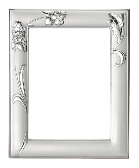 458x555 Silver Photo Frames For Photoshop