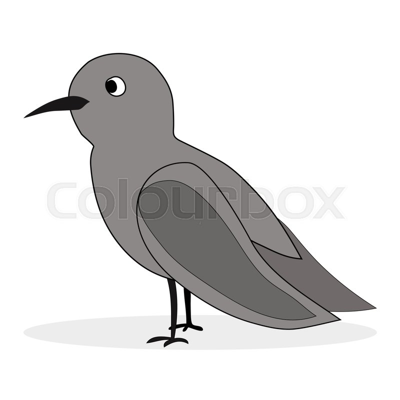800x800 Simple Cartoon Nightingale. Bird Florence Nightingale, Nightingale