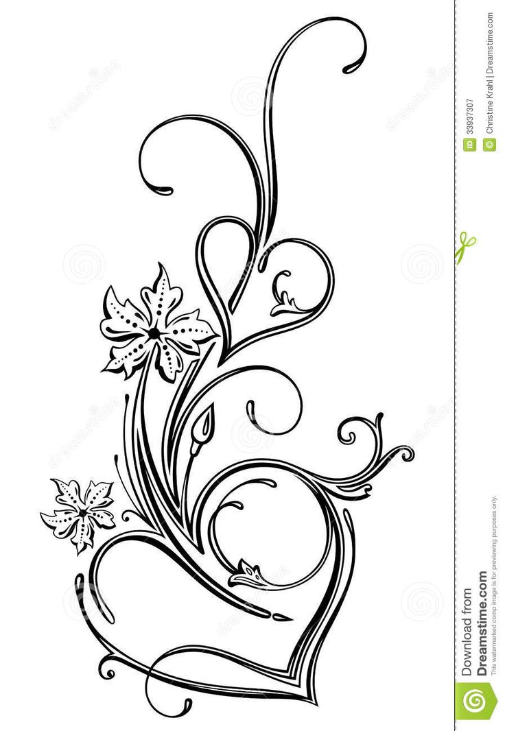 736x1066 Square Clipart Filigree