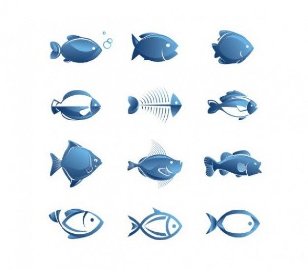 626x549 Simple Blue Fish Vector Illustrations Set Vectors