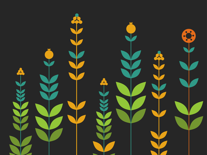 800x600 Vector Simple Flowers By Vector4free