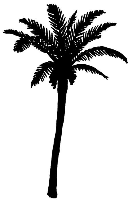 454x700 Palm Tree Clipart Shadow
