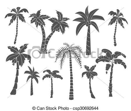 450x380 Silhouettes Of Hand Drawn Palms Trees. Vector Set Of Black