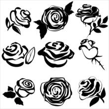 Simple Rose Vector