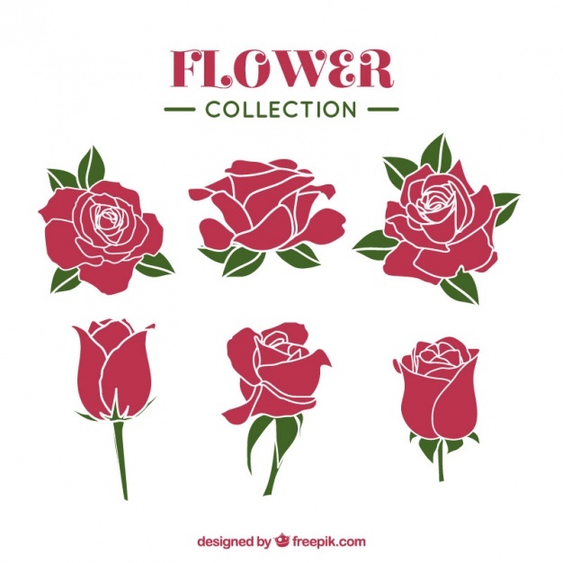 626x626 Rose Vectors, Photos And Psd Files Free Download