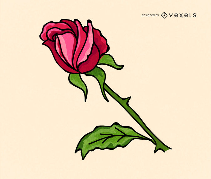 674x570 Simple Rose Illustration