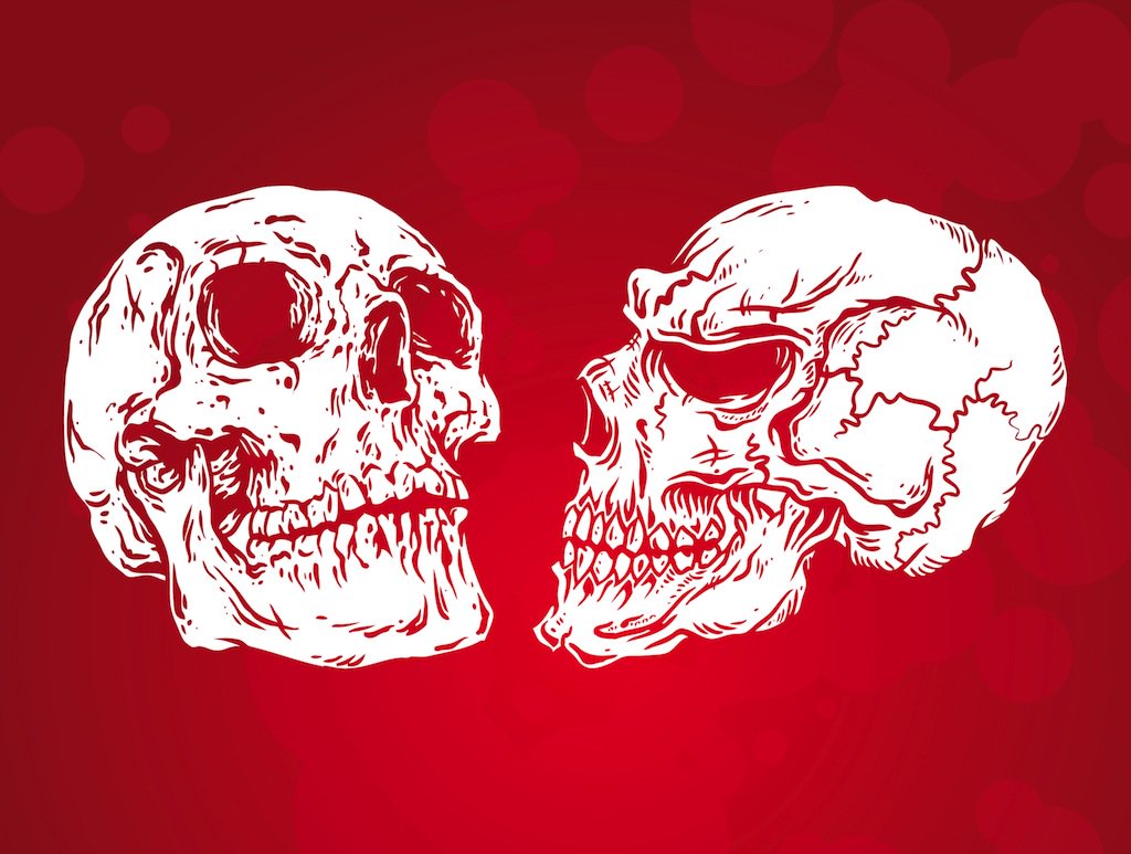 1024x773 Simple Skulls Vector Vector Art Amp Graphics
