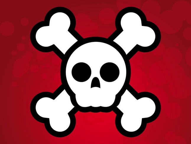 646x488 Simple Illustration Pirate Skull Flag Vector Vector Free Download