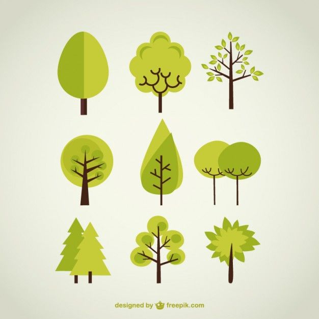 626x626 Tree Vectors, Photos And Psd Files Free Download Background