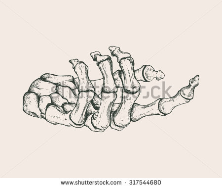 450x380 Collection Of Skeleton Hand Drawing Holding High Quality