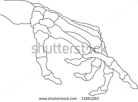 450x332 Skeleton Hand Vector