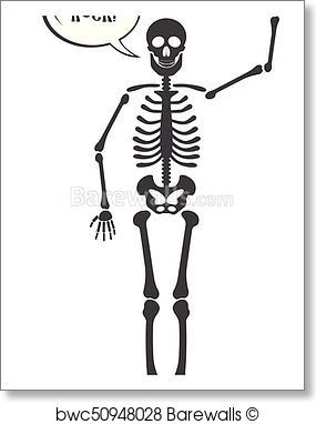 285x382 Art Print Of Skeleton Human Anatomy. Vector Halloween Black