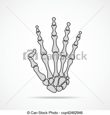 450x470 Bones Of Hand On Light Background. Skeleton Hand. Vector