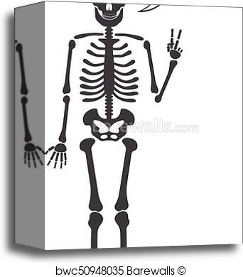342x390 Canvas Print Of Skeleton Human Anatomy. Vector Halloween Black