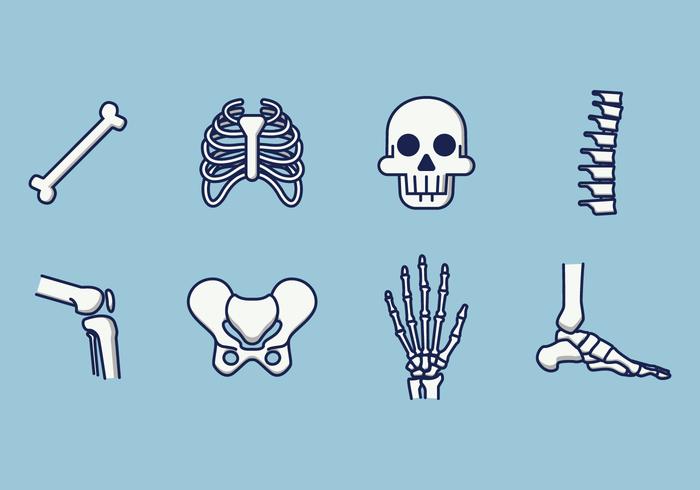 700x490 Skeleton Free Vector Art