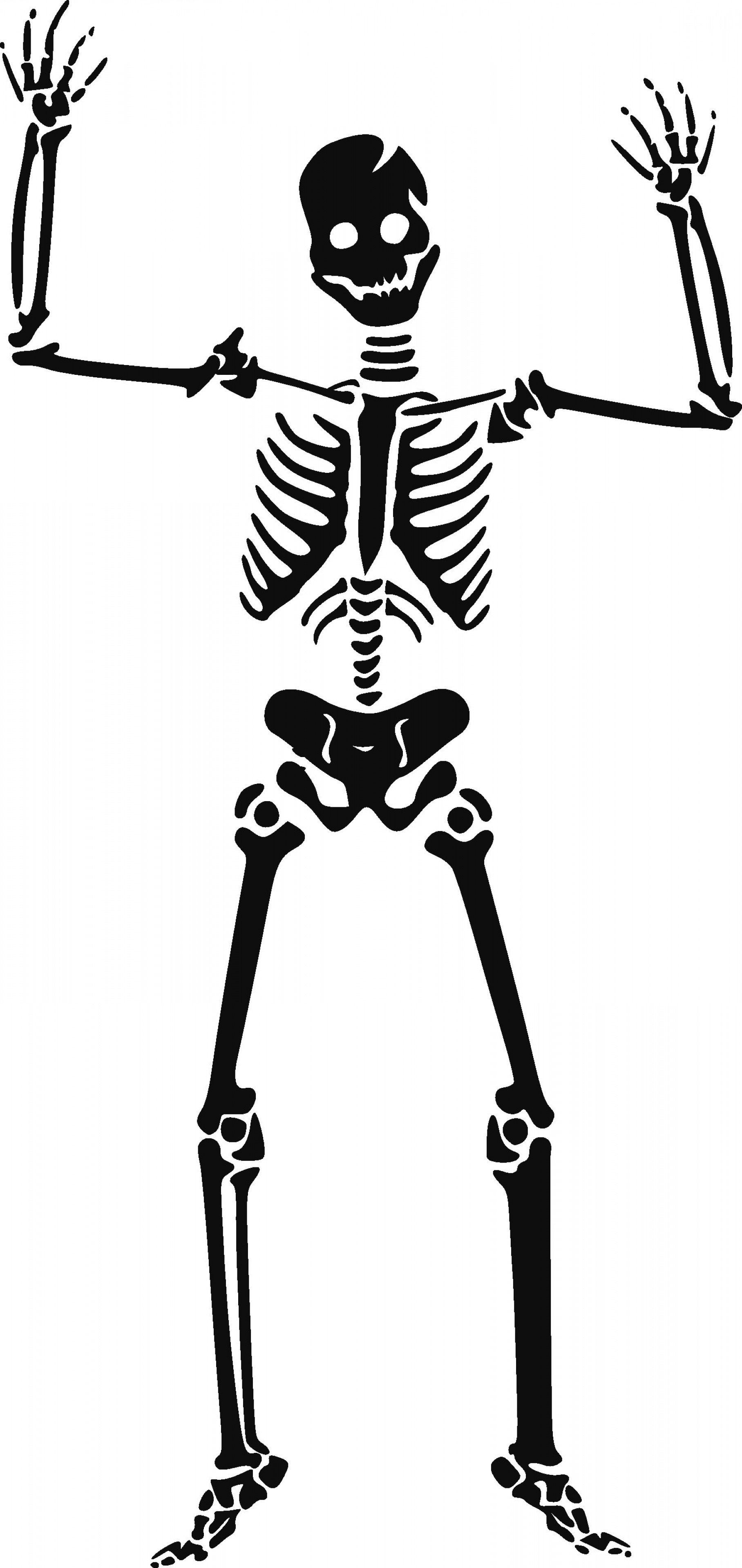 Skeleton Vector at GetDrawings | Free download