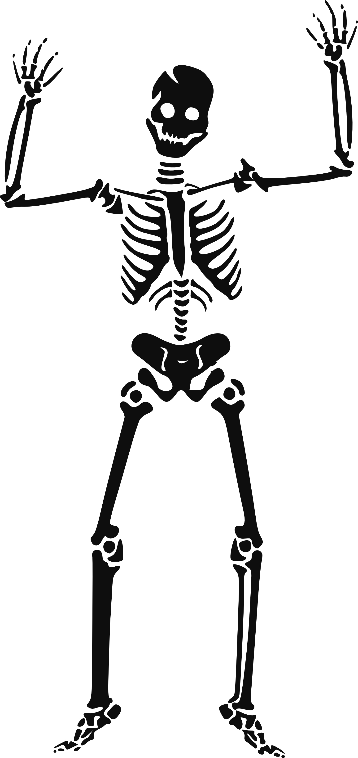 1514x3200 Happy Skeleton