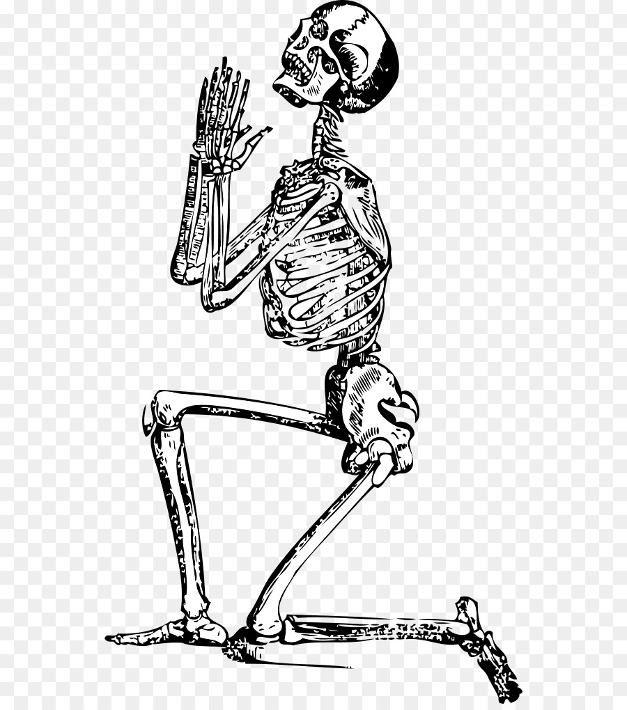 900x1020 Human Skeleton Clip Art