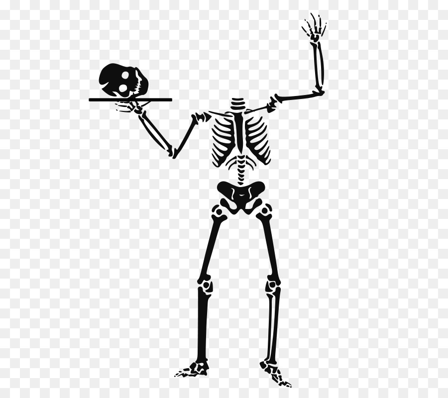 900x800 Halloween Human Skeleton Clip Art