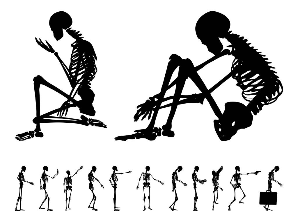 1024x765 Human Skeleton Set Vector Art Amp Graphics