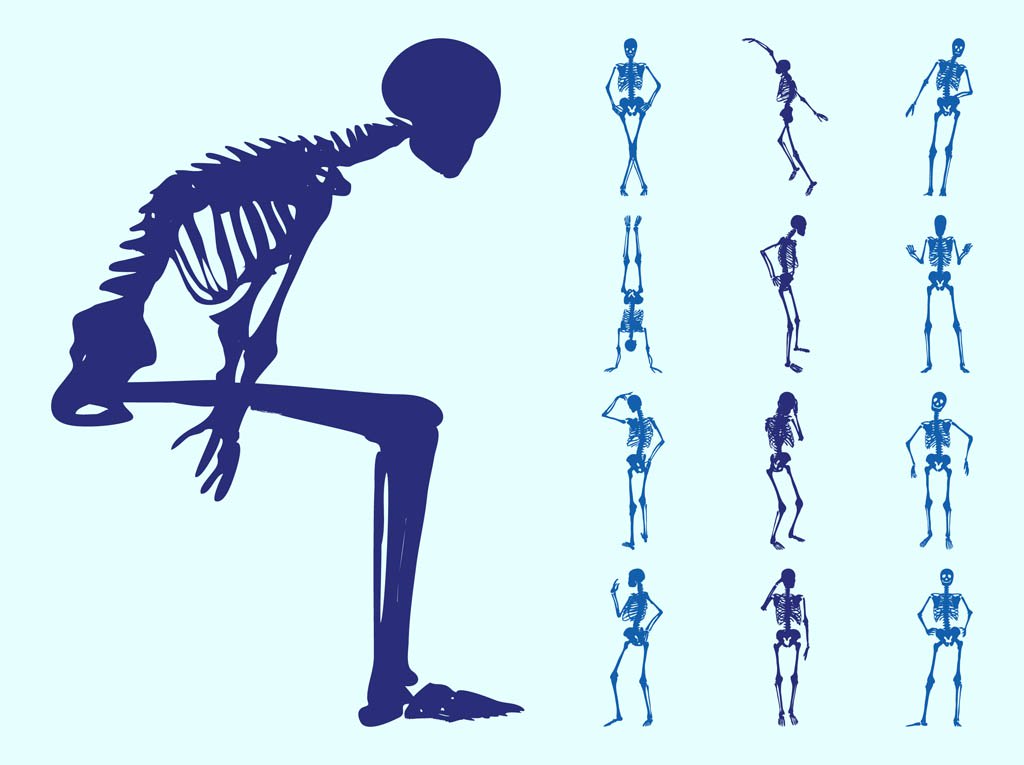 1024x765 Human Skeletons Silhouettes Vector Art Amp Graphics