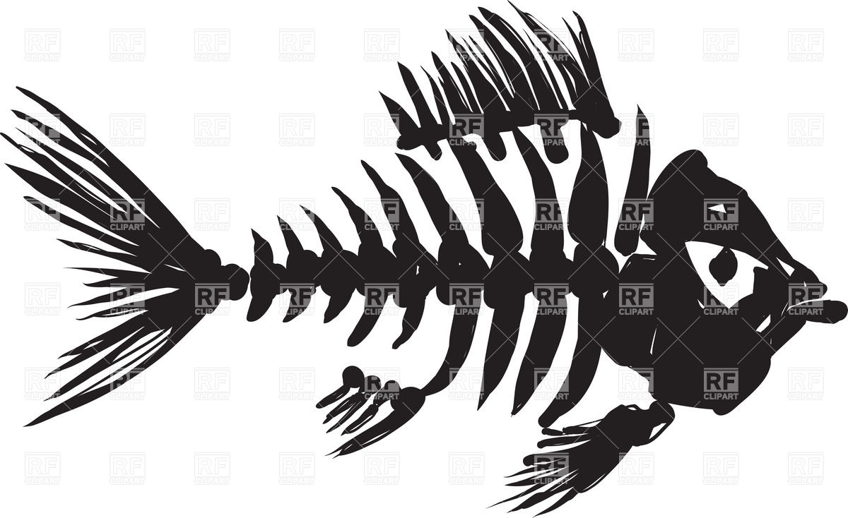 1200x734 Rough Image Of Fish Skeleton Vector Image Vector Artwork Of