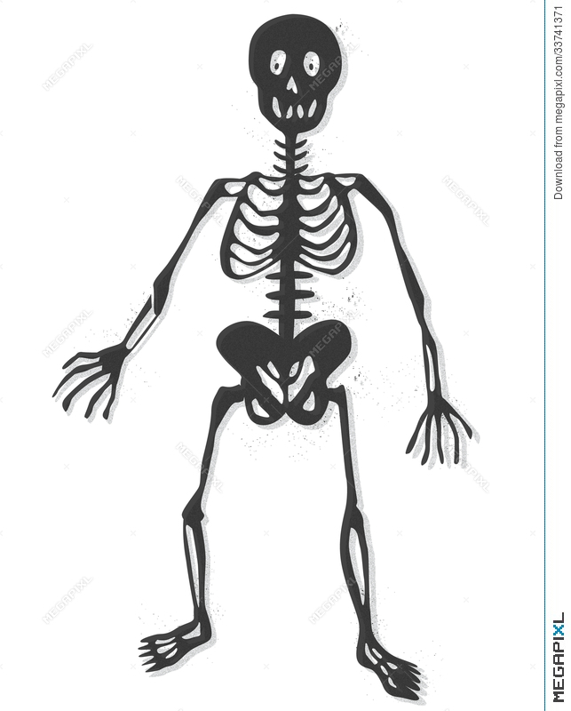643x800 Skeleton Vector Illustration 33741371