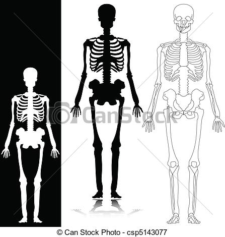 447x470 Skeleton Vector Silhouettes.